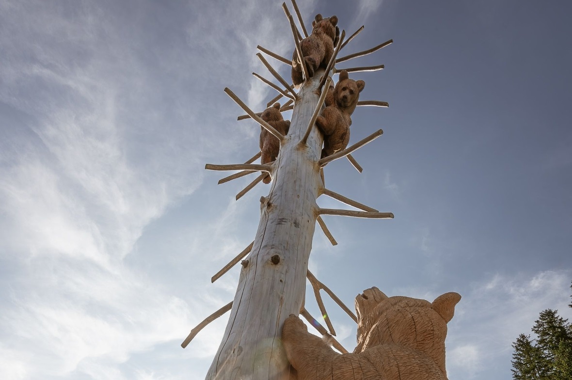 Holzskulptur-Arrangement ist vollendet – Bärin flog zu ihren Jungen