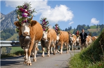 Ein traditionsreiches Fest für Gross und Klein