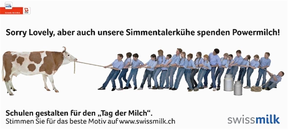 Schulklasse am Swissmilk-Plakatwettbewerb: Simmentalerkuh Céline konkurrenziert Kuh Lovely
