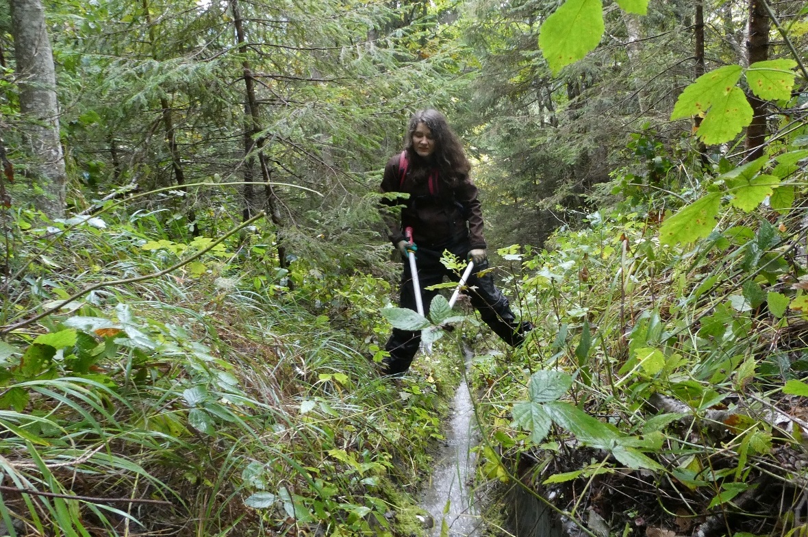 Bergwald-Projekt: 33 Freiwillige für starken Wald